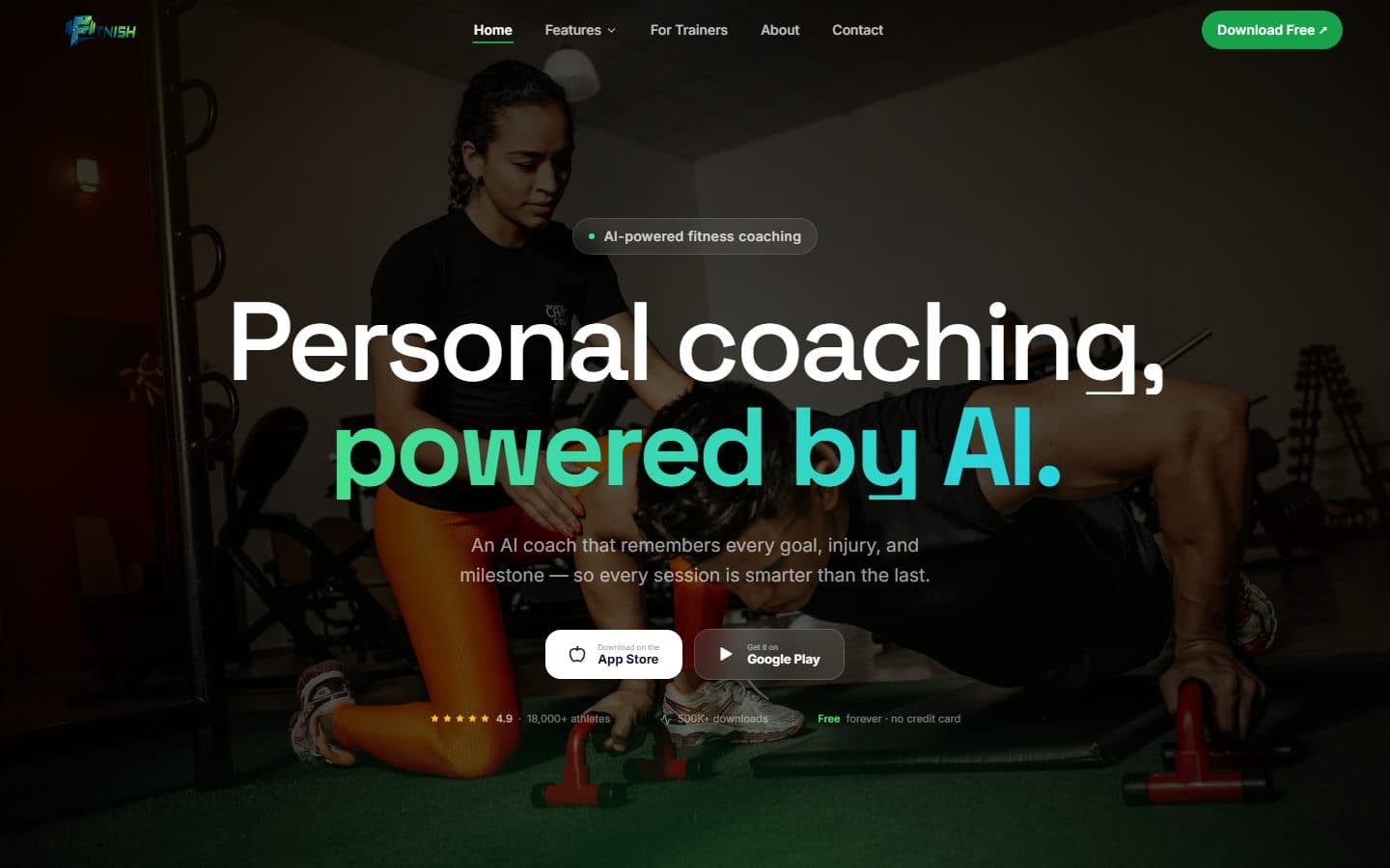 Fitnish, SaaS product interface